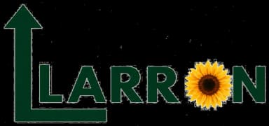 Llarron